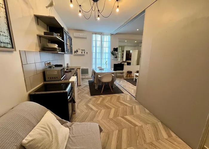 Lumineux appartement, jardin, vu sur mer